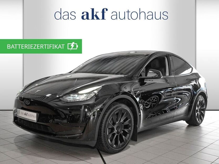 Model Y