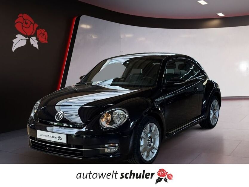 Beetle