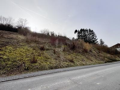 SUPER PREIS, GUTE LAGE, SCHÖNE AUSSICHT - Grundstück Welschbillig | Angebot:27075050