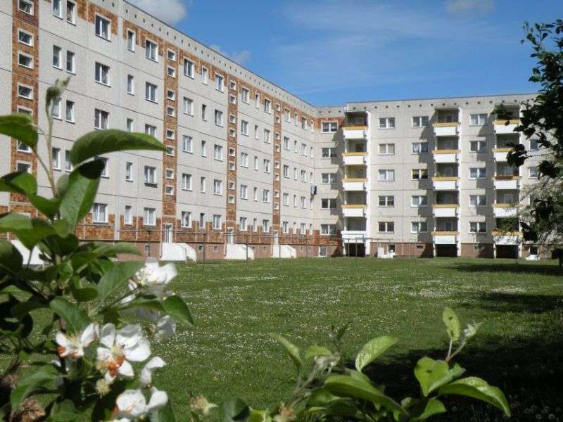 Wohnung zum Mieten in Stralsund 182,58 € 27.25 m² 1 zimmer