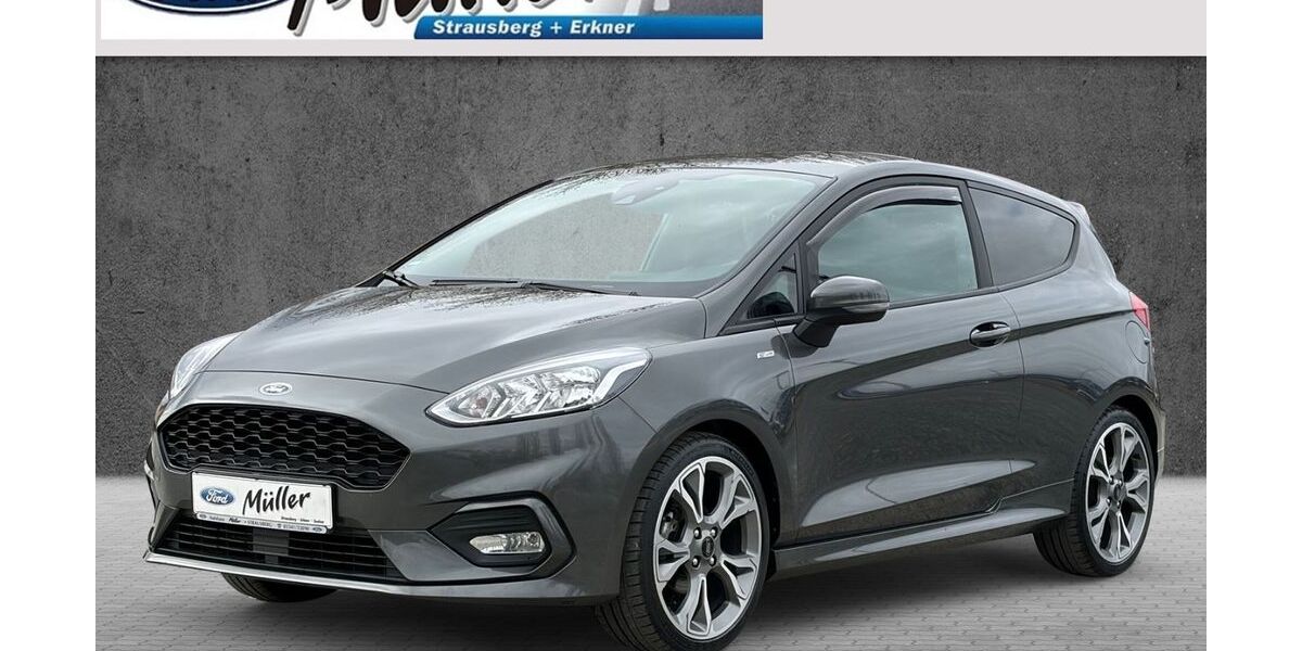 Ford Fiesta 49.176 km 13.900 &euro; Strausberg 15344