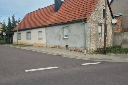 Haus Osternienburger Land - 4 Zimmer, 126 m&sup2;, 29.500&euro; | Angebot:26848493