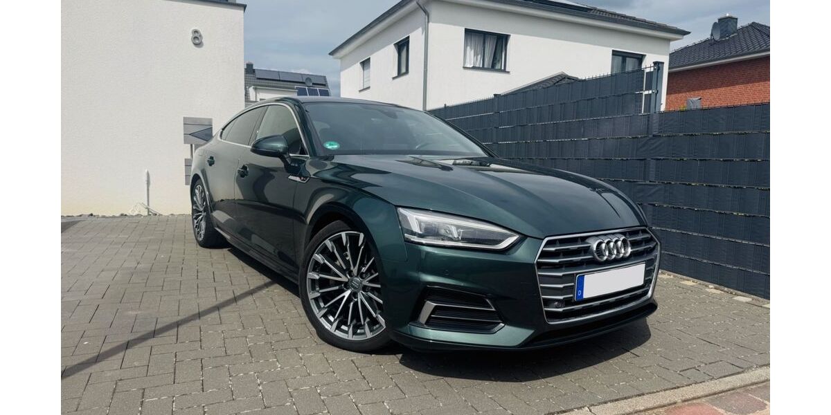 Audi A5 195.067 km 18.300 &euro; Sarstedt 31157