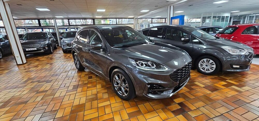 Kuga