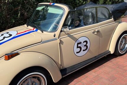VW Käfer