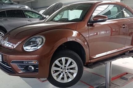VW Beetle