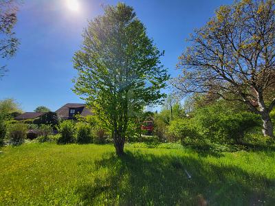 IHR RUHIGES PLÄTZCHEN IN DER SONNE - Grundstück Weßling | Angebot:27265669
