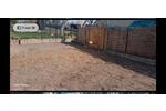Reihenhaus Thale - 3 Zimmer, 90 m&sup2;, 90.000&euro; | Angebot:26933815