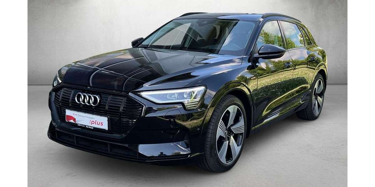Audi e-tron 36.656 km 36.980 &euro; Mainz 55131