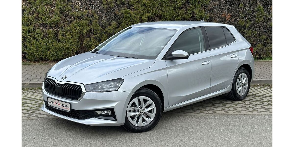 Skoda Fabia 19.100 km 18.690 &euro; Wallenfels 96346