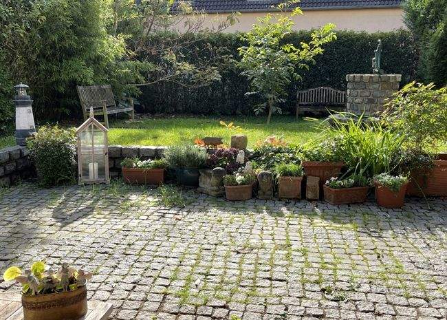 Bellevue: Schöne Aussichten für wohnliche Gelassenheit 3 zimmer