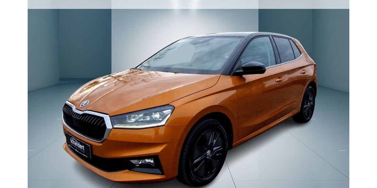 Skoda Fabia 42.527 km 22.850 &euro; Jessen 06917