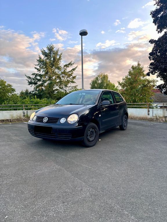 Polo