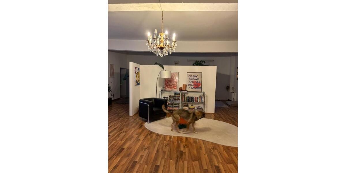 Tolle große Wohnung im Hinterhof 5 zimmer