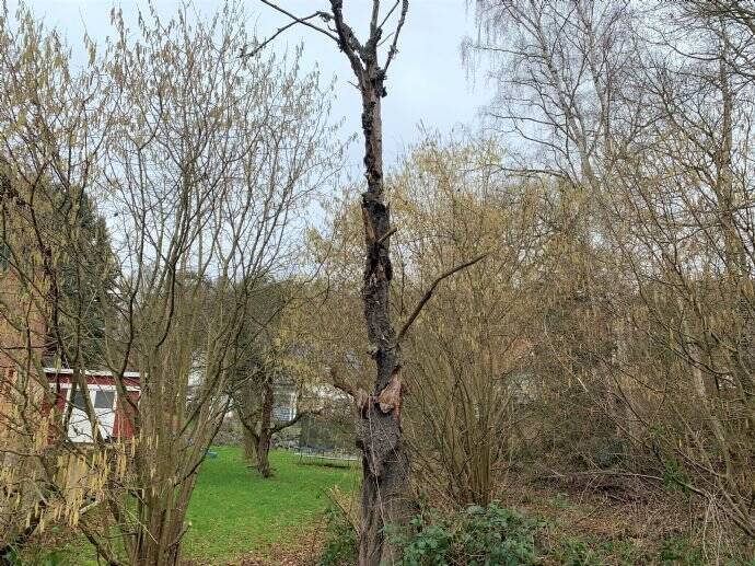 Grundstück Kaufungen Oberkaufungen - 218.125&euro; | Angebot:25674109