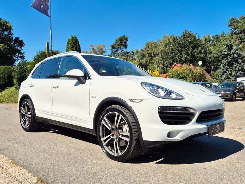 Cayenne