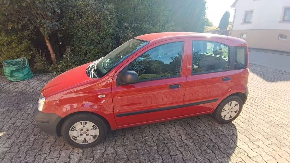 Panda