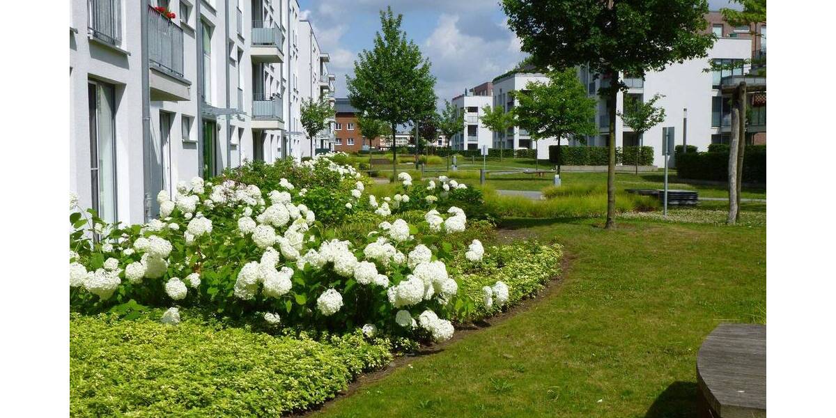 Etagenwohnung Elmshorn - 2 Zimmer, 54 m&sup2;, 568&euro; | Angebot:26696706