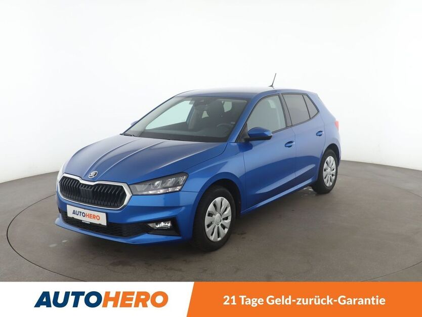 Skoda Fabia 18.045 km 16.910 € Leipzig 04328