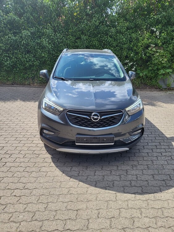 Mokka x