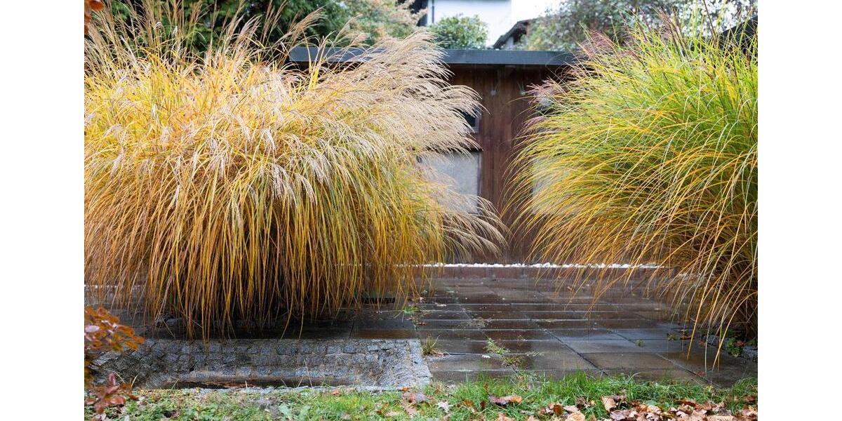 Einfamilienhaus Roth - 5 Zimmer, 137 m&sup2;, 519.000&euro; | Angebot:25383872