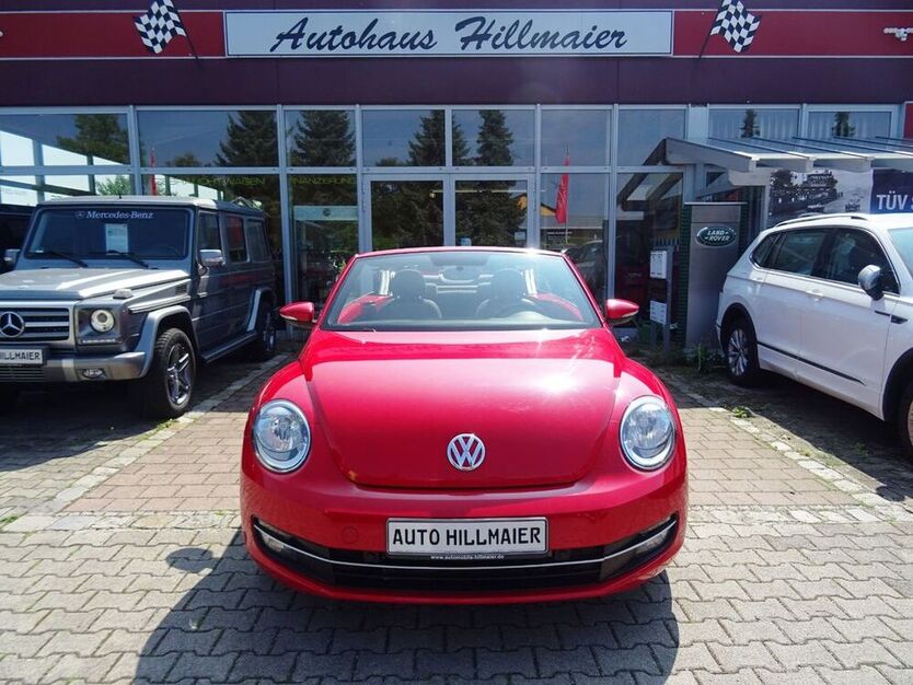 Beetle