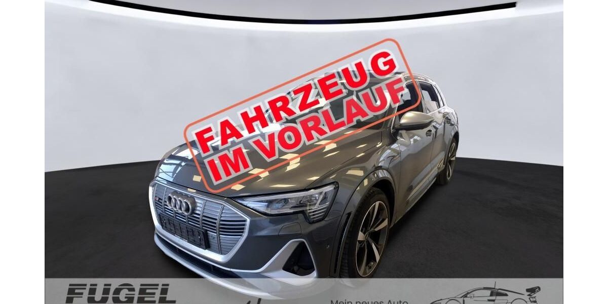 Audi e-tron 28.530 km 40.899 &euro; Chemnitz - Mittelbach 09224