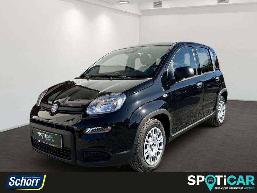 Fiat Panda 1.500 km 14.995 € Erfurt 99085