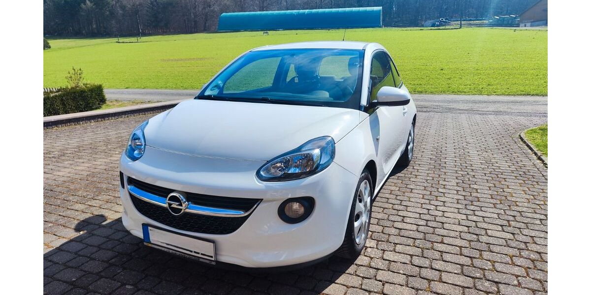 Opel Adam 138.000 km 4.500 &euro; Saxler 54558