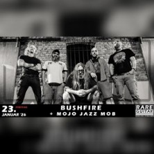 Bushfire + Mojo Jazz Mob 23.01.2026 Rare Guitar