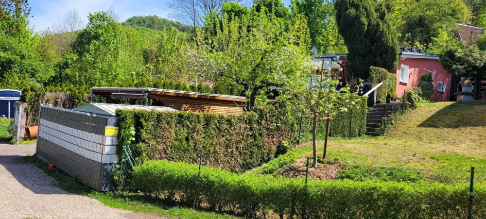 Moderner Bungalow in idyllischer Naturlage - Ihr neues Zuhause in Hainrode