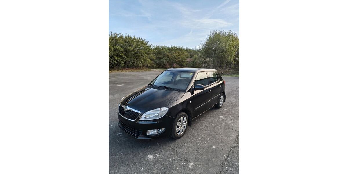 Skoda Fabia 100.020 km 5.200 &euro; Großmölsen 99198