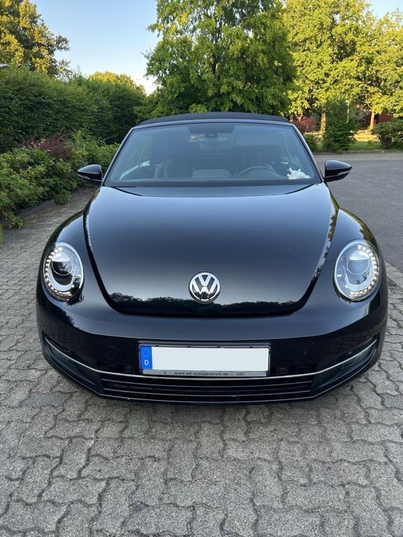 Beetle