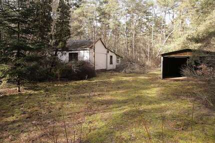 Grundstück Borkheide - 50.000&euro; | Angebot:26057659