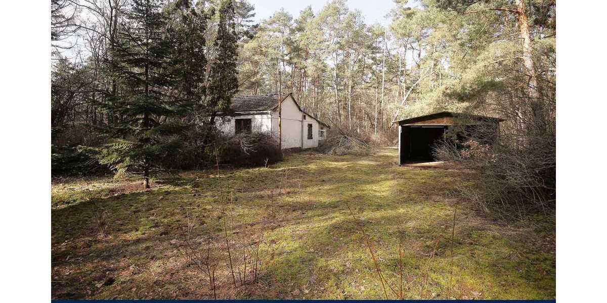 Grundstück Borkheide - 50.000&euro; | Angebot:26057659