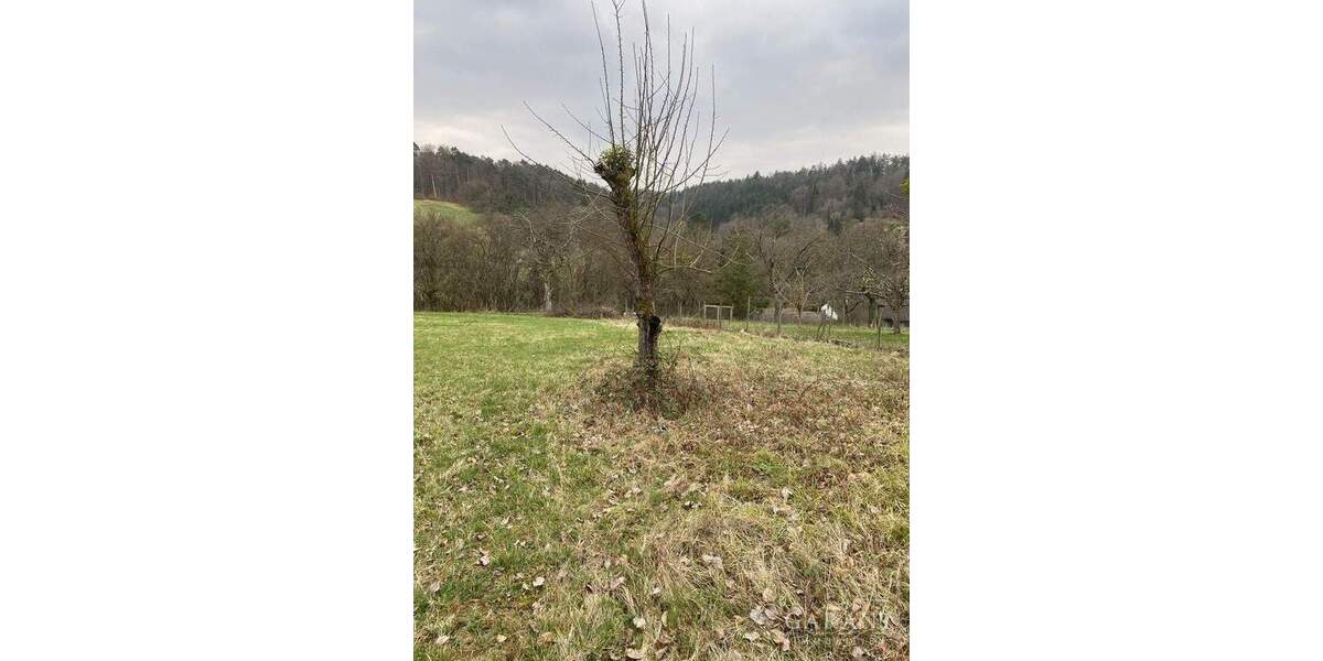 Grundstück Weinstadt-Baach Schnait - 15.000&euro; | Angebot:24532782