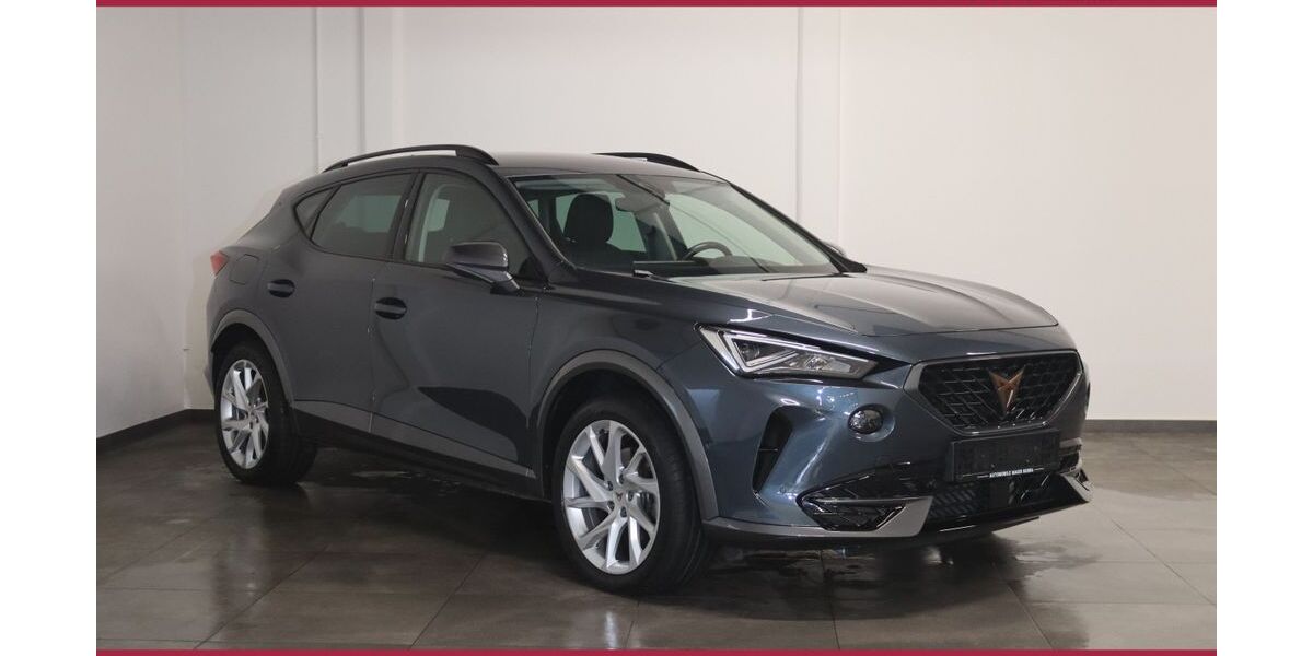 Cupra Formentor 79.500 km 20.900 &euro; Bebra 36179