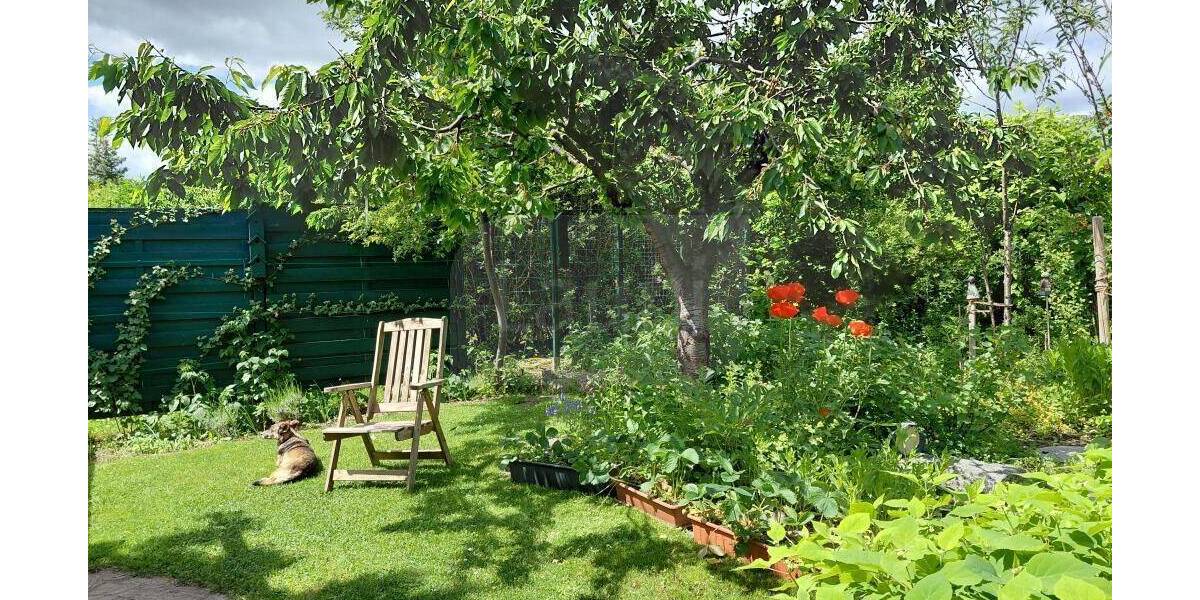 Grundstück Schorfheide Finowfurt - 85.000&euro; | Angebot:26879155