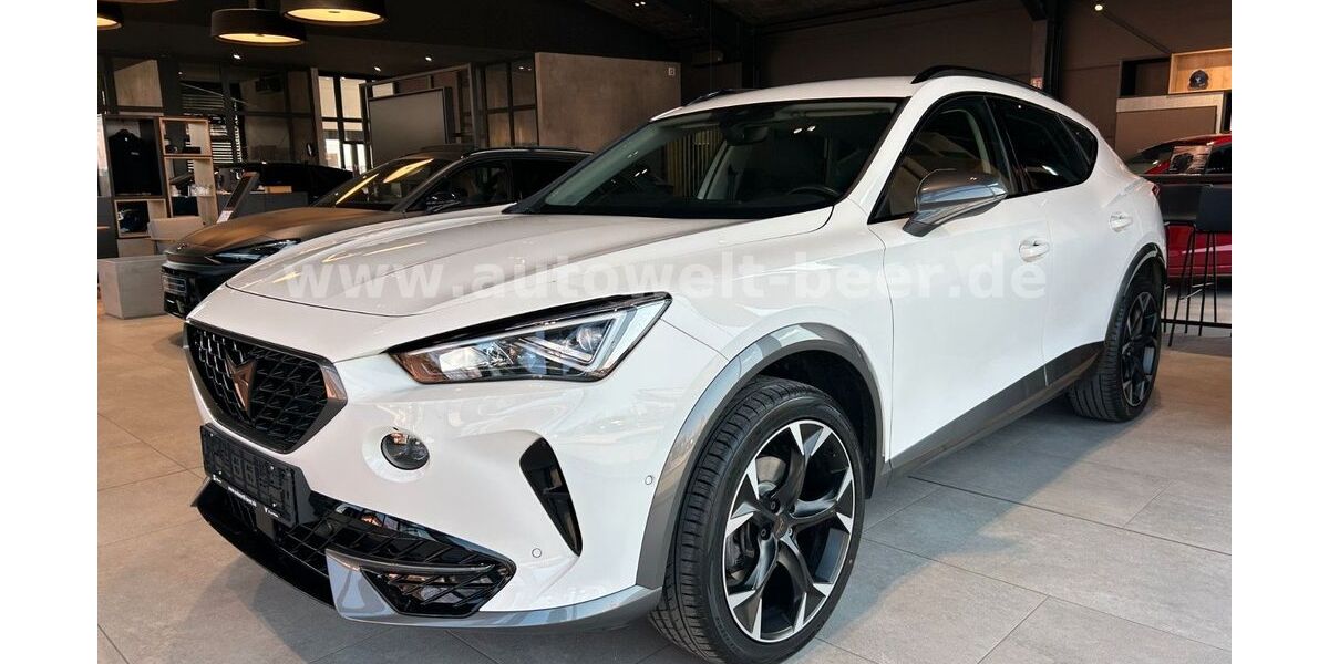 Cupra Formentor 73.450 km 22.980 &euro; Waging am See 83329