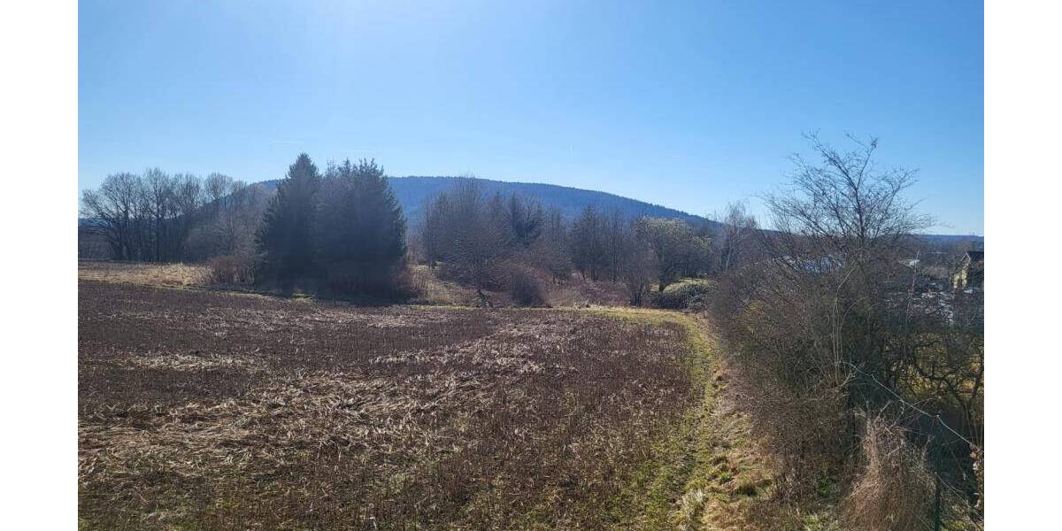 Grundstück Sonneberg Blechhammer - 24.000&euro; | Angebot:25985987