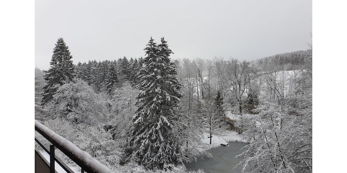 Renovierte+Vermietete Wohnung in Brilon mit Balkon +6%Mietrendite 1.5 zimmer