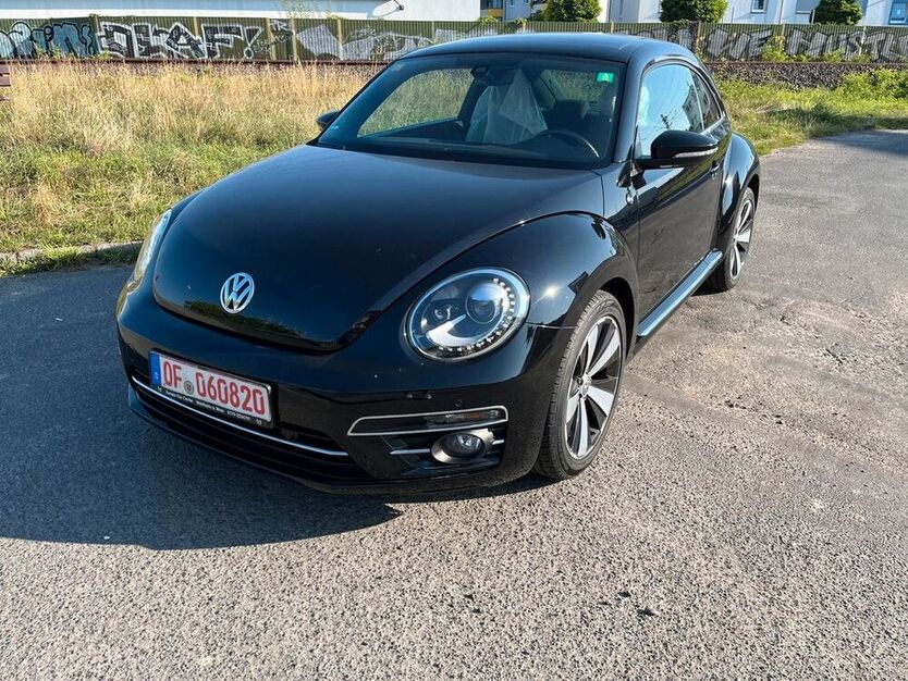 Beetle
