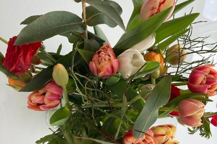 Wohnung mit Terrasse in Pattscheid zu vermieten 4 zimmer