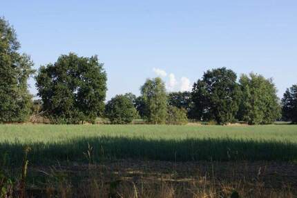 Grundstück Cottbus Gallinchen - 127.800&euro; | Angebot:25662876