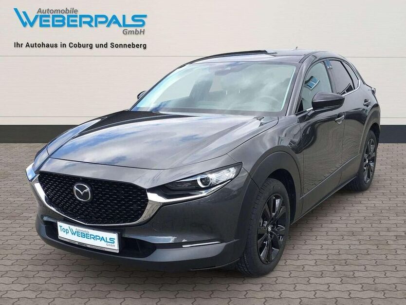 CX-30