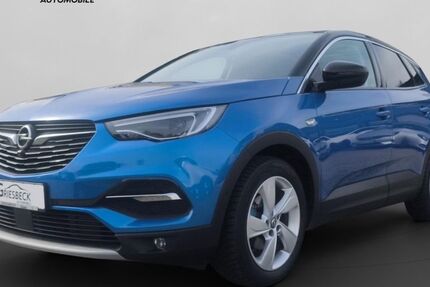 Opel Grandland (X) 100.000 km 15.500 &euro; Cham 93413