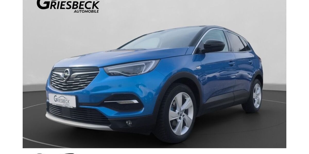 Opel Grandland (X) 100.000 km 15.500 &euro; Cham 93413