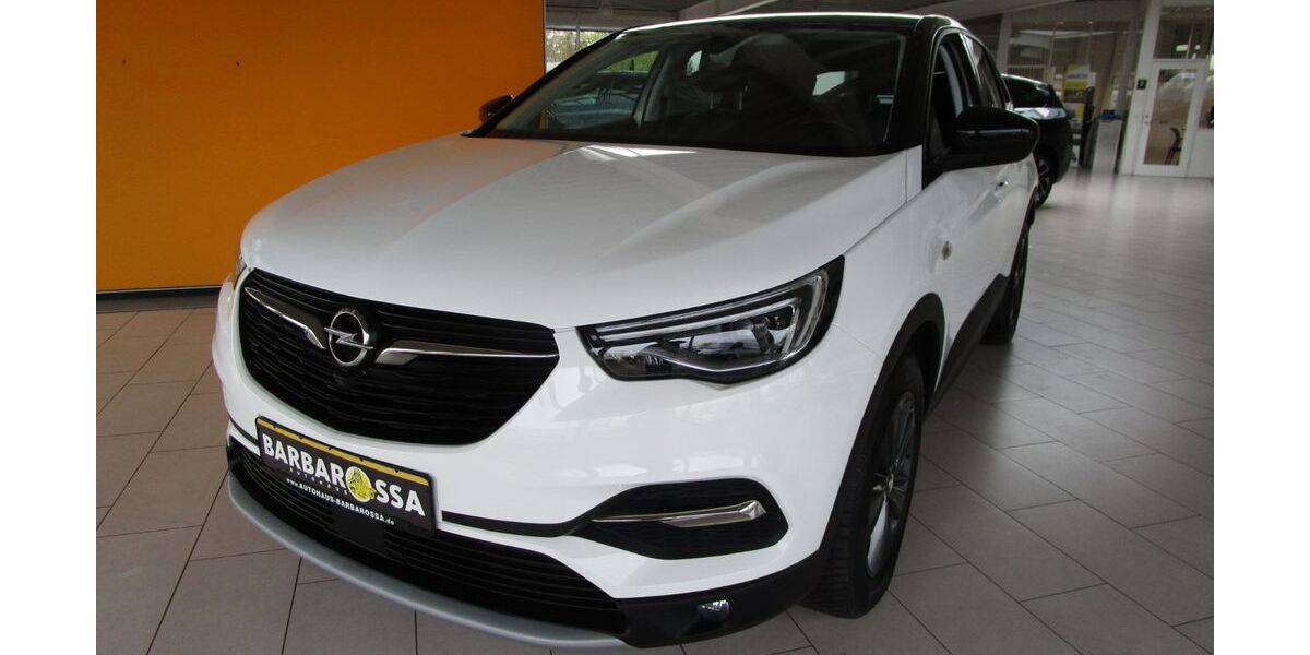 Opel Grandland (X) 95.006 km 16.660 &euro; Artern 06556