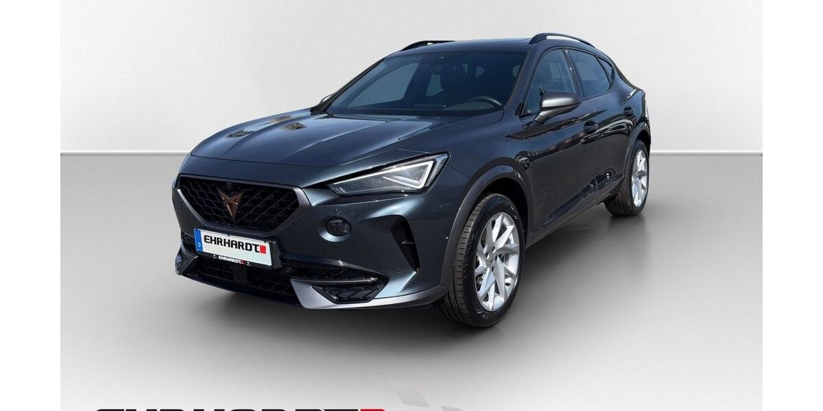 Cupra Formentor 42.740 km 34.990 &euro; Zellingen 97225