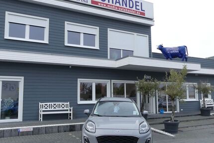 Ford Puma 30.000 km 17.000 &euro; Magdeburg 39108